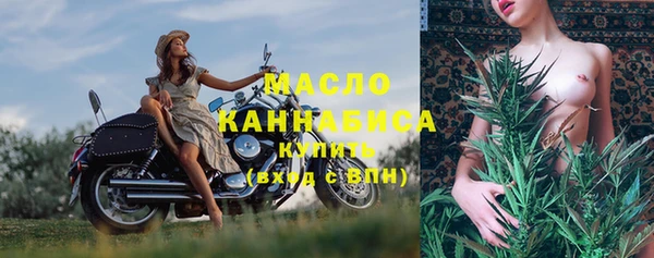 молекула духа Пересвет